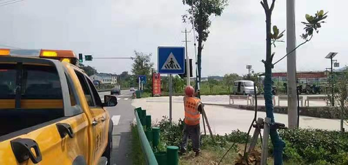 剪绿遮修护栏，筑牢公路交通安全生命线